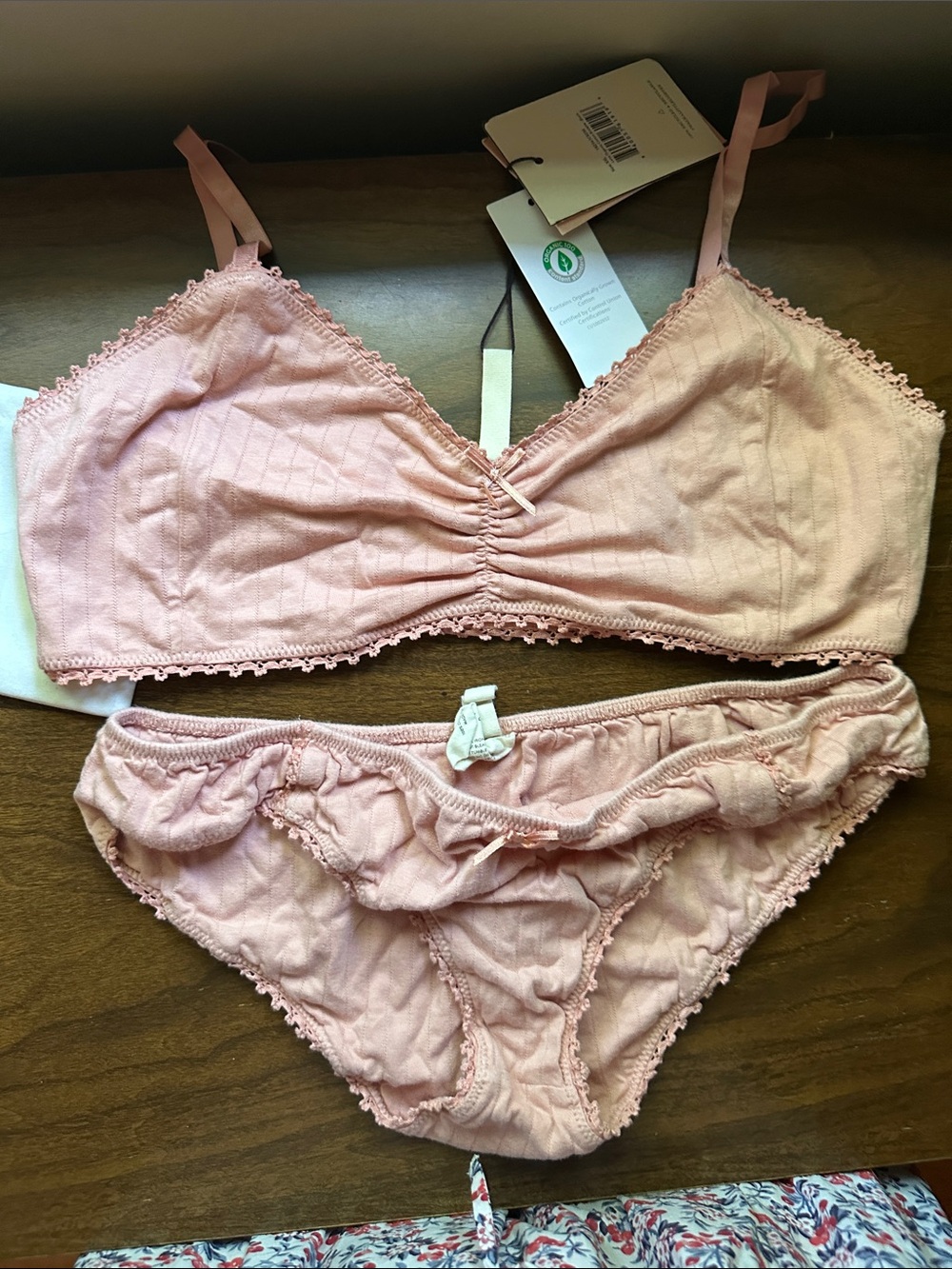 Spell and the Gypsy Lana panty bra set in blush